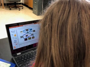 Ecosystem poster making3